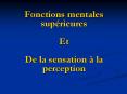 Fonctions mentales suprieures PowerPoint PPT Presentation