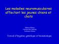 Les maladies neuromusculaires affectant les jeunes chiens et chats PowerPoint PPT Presentation