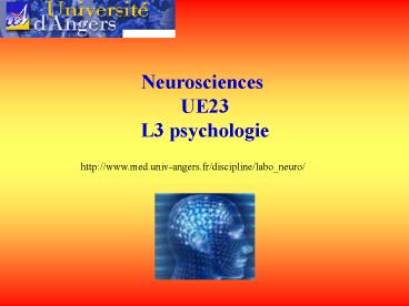Neurosciences 2nd semestre