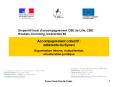 Accompagnement collectif: adhrents du Synavi Organisation interne, mutualisation, structuration juri PowerPoint PPT Presentation