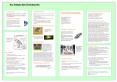 Un peu dhistoire PowerPoint PPT Presentation