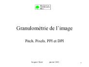 Granulom