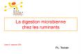 La digestion microbienne chez les ruminants PowerPoint PPT Presentation