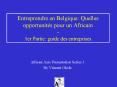 Entreprendre en Belgique: Quelles opportunits pour un Africain 1er Partie: guide des entreprises PowerPoint PPT Presentation