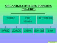 ORGANIGRAMME DES BOISSONS CHAUDES