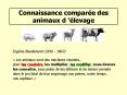 Connaissance compare des animaux dlevage PowerPoint PPT Presentation