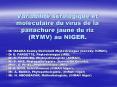 Variabilit srologique et molculaire du virus de la panachure jaune du riz RYMV au NIGER' PowerPoint PPT Presentation