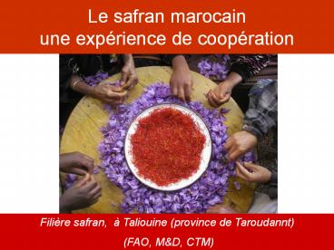 Le safran marocain une exp