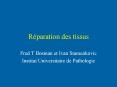 Rparation des tissus PowerPoint PPT Presentation