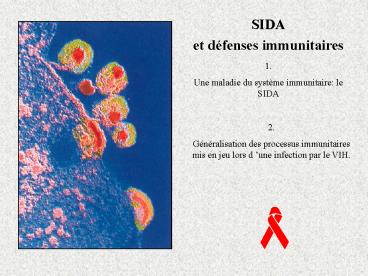 Aucun titre de diapositive