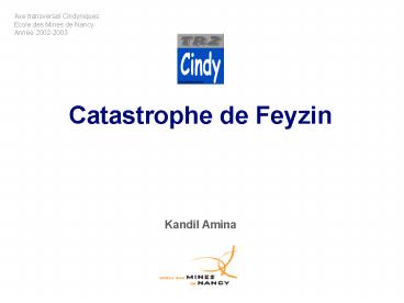Catastrophe de Feyzin