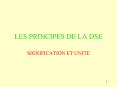 LES PRINCIPES DE LA DSE PowerPoint PPT Presentation