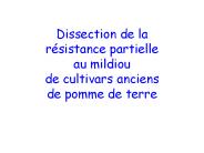 Dissection de la r