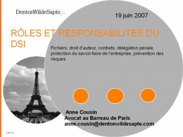 RLES ET RESPONSABILITES DU DSI