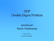 DDP Double Digest Problem