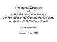 Intelligence Collective et Int PowerPoint PPT Presentation