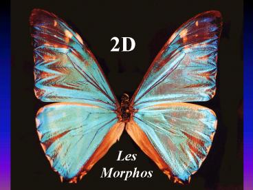 Prsentation PowerPoint