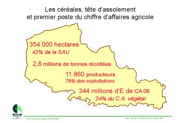 Les crales, tte dassolement et premier poste du chiffre daffaires agricole
