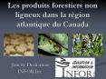 Les produits forestiers non ligneux dans la rgion atlantique du Canada PowerPoint PPT Presentation