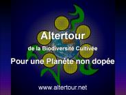 Diapositive%201