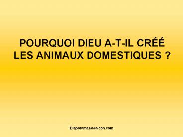 POURQUOI DIEU ATIL CR LES ANIMAUX DOMESTIQUES