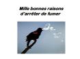 Mille bonnes raisons d PowerPoint PPT Presentation