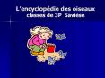 Lencyclopdie des oiseaux classes de 3P Savise PowerPoint PPT Presentation