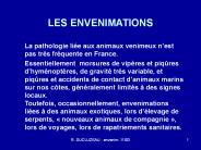 LES ENVENIMATIONS