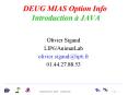 DEUG MIAS Option Info Introduction JAVA PowerPoint PPT Presentation