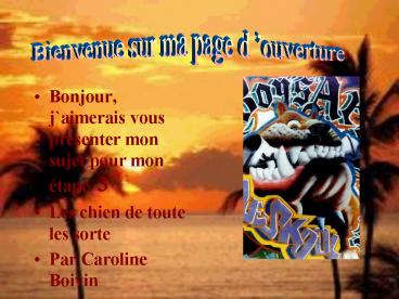 Bonjour, j`aimerais vous pr