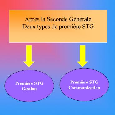 Sciences et Technologie de Gestion
