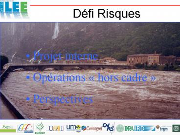 Dfi Risques