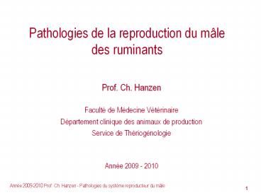Pathologies de la reproduction du m