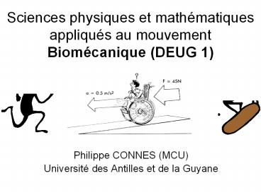 Sciences%20physiques%20et%20math