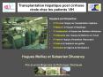 Transplantation chez les patients co-infect PowerPoint PPT Presentation
