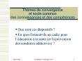 Thmes de convergence et socle commun des connaissances et des comptences PowerPoint PPT Presentation