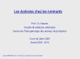 Les dystocies chez les ruminants PowerPoint PPT Presentation