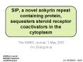 SIP, a novel ankyrin repeat containing protein, sequesters steroid receptor coactivators in the cytoplasm PowerPoint PPT Presentation