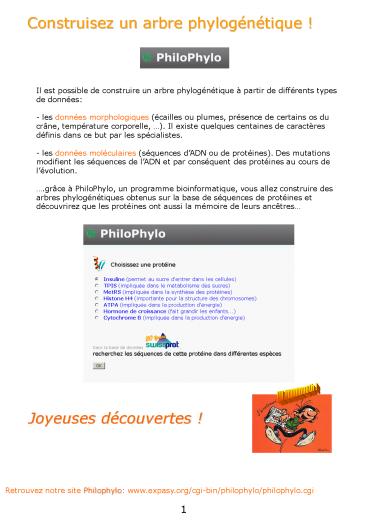 Il est possible de construire un arbre phylog