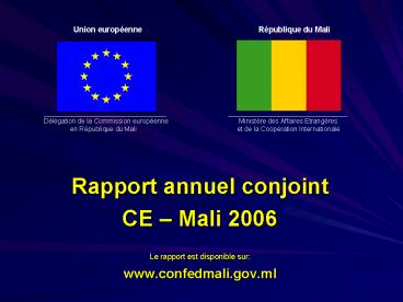 Rapport annuel conjoint