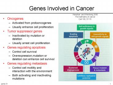 Aucun titre de diapositive