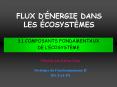 FLUX D PowerPoint PPT Presentation