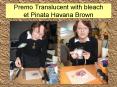 Premo Translucent with bleach et Pinata Havana Brown PowerPoint PPT Presentation