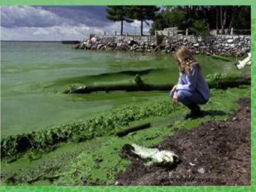 Aucun titre de diapositive