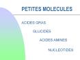 PETITES MOLECULES PowerPoint PPT Presentation