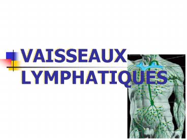 VAISSEAUX LYMPHATIQUES