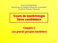 Service de Bactriologie Dpartement des Maladies infectieuses et parasitaires Facult de Mdecine Vtrin PowerPoint PPT Presentation