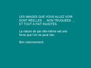 LES IMAGES QUE VOUS ALLEZ VOIR