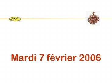 Mardi 7 fvrier 2006