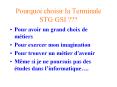Pourquoi choisir la Terminale STG GSI PowerPoint PPT Presentation